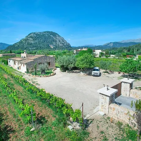 Owl Divina - Luxury Retreat Pollenca