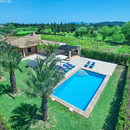 Owl Divina - Luxury Retreat