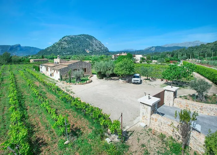 Owl Divina - Luxury Retreat Pollensa